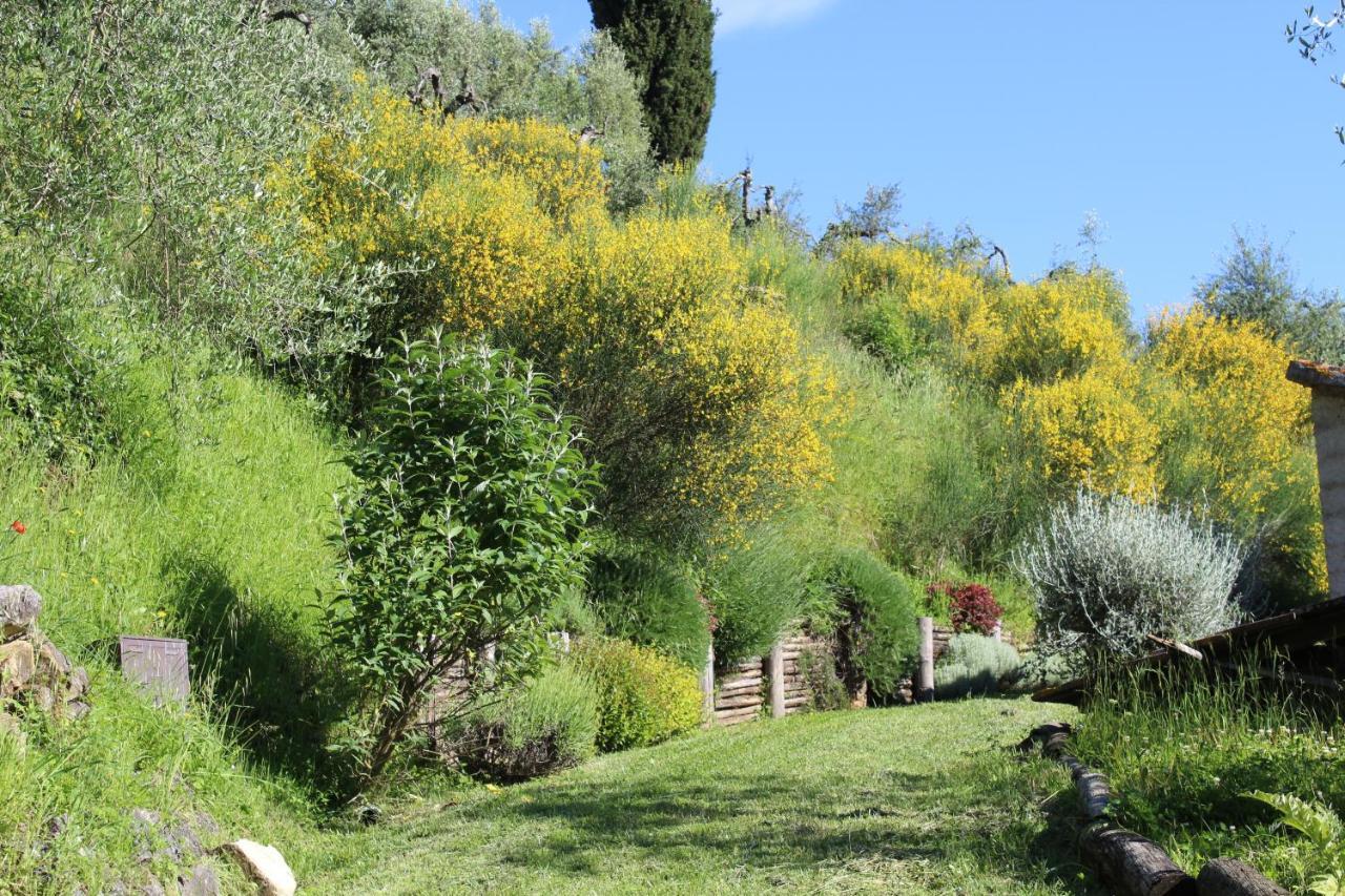 Villa Porsenna Chiusi Buitenkant foto