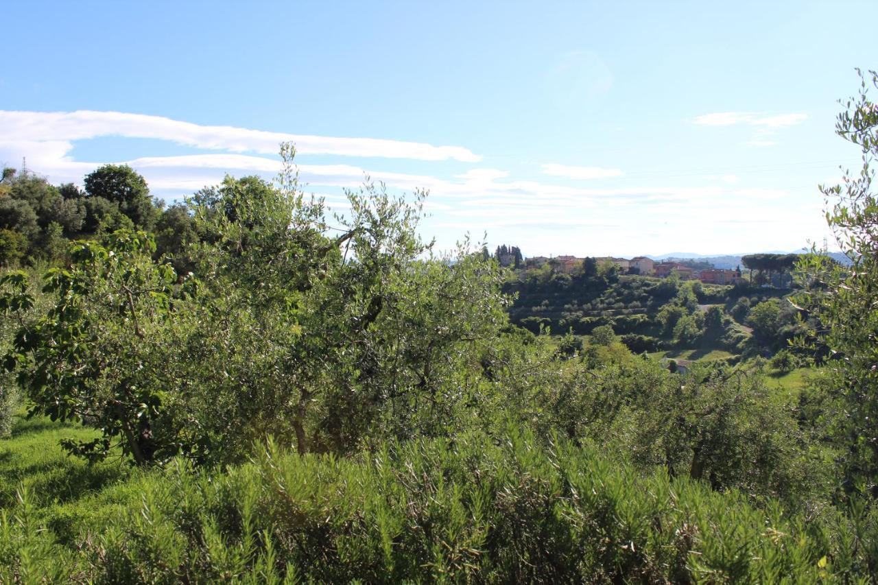 Villa Porsenna Chiusi Buitenkant foto